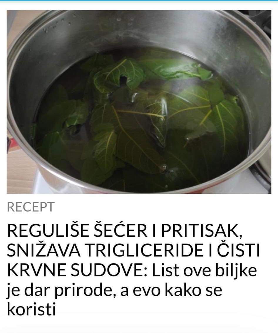 REGULIŠE ŠEĆER I PRITISAK, SNIŽAVA TRIGLICERIDE I ČISTI KVNE SUDOVE: List ove biljke je dar prirode, a evo kako se koristi